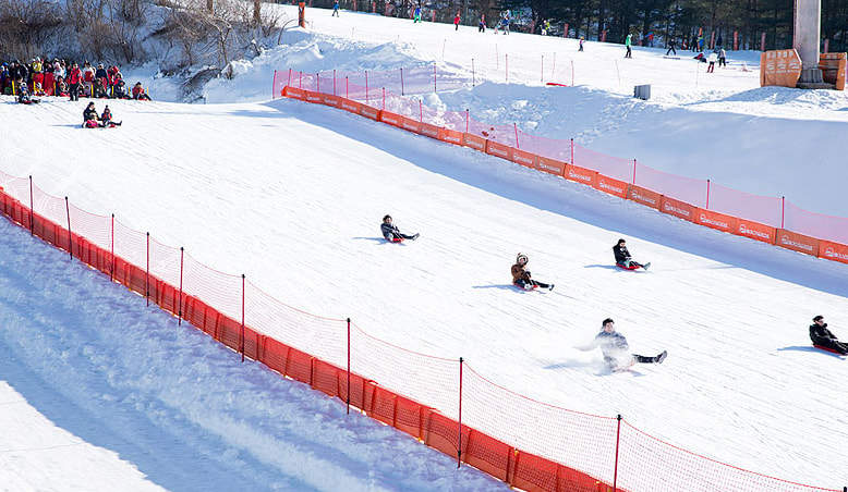 【ソウル発】貸切チャーター車：抱川アートバレー、ハーブアイランド、ニジモリスタジオ、山井湖、いちご狩り体験