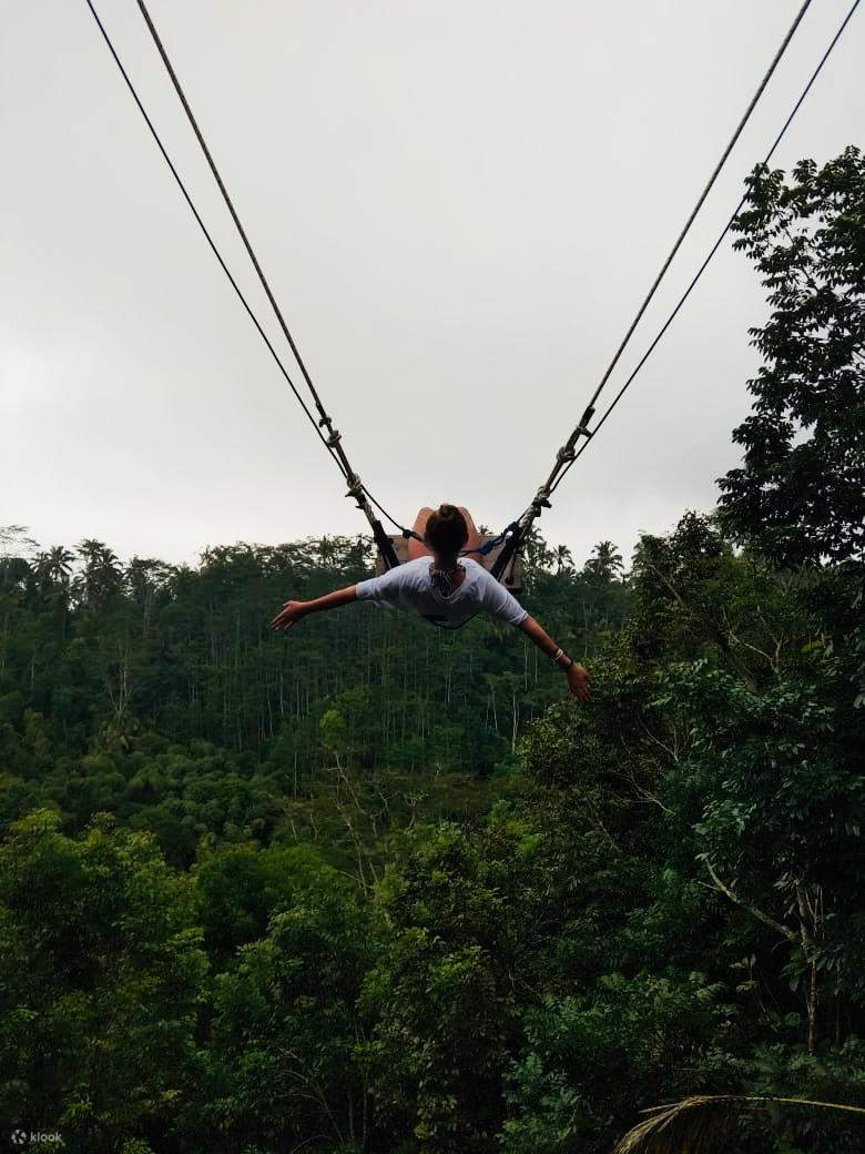 balançoire dans la jungle