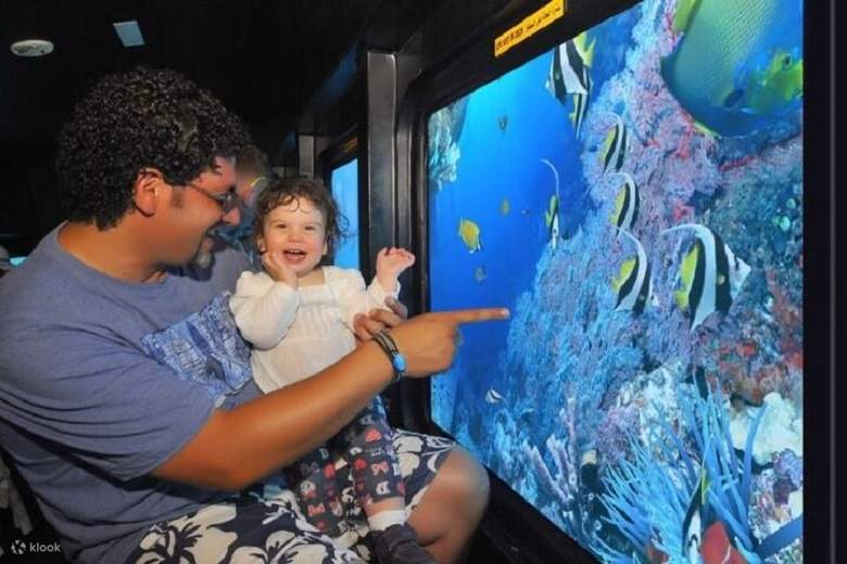 Perjalanan Laut Separuh Kapal Selam Dengan Pemindahan - Sharm el sheikh