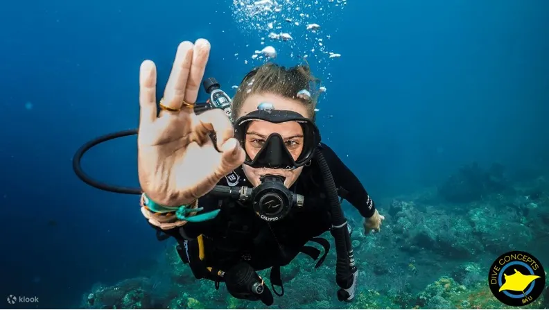 Dive Concepts Bali 的图兰本水肺潜水体验（半天）
