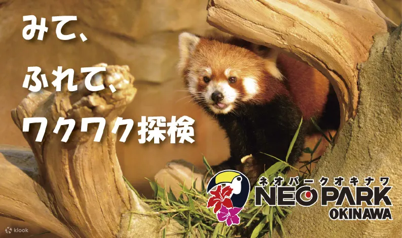 [冲绳 Neo Park](https://www.neopark.co.jp/)