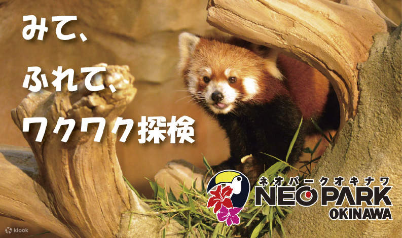 [沖繩 Neo Park](https://www.neopark.co.jp/)