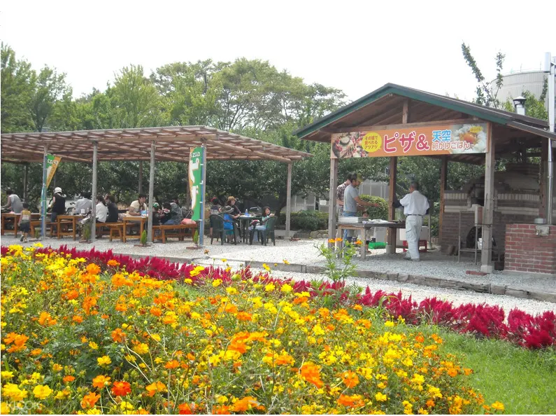 大阪、京都、奈良一日遊