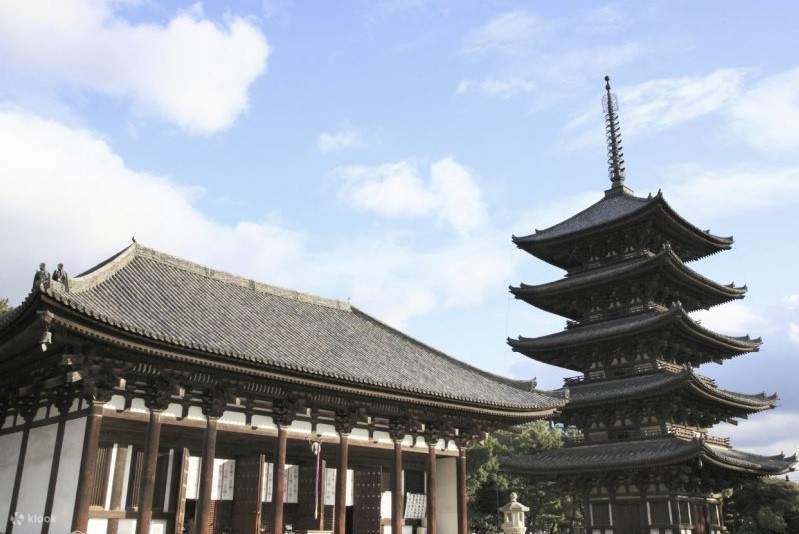 Mount Koya Day Tour from Kyoto, Japan Klook