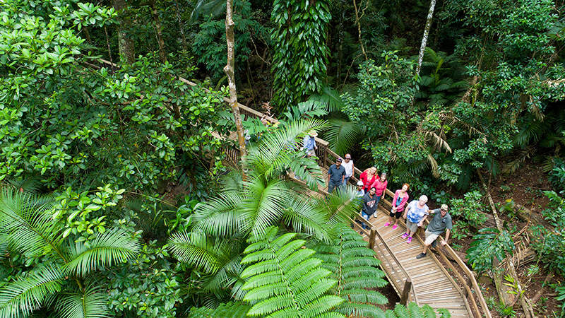 3-Tages-Kombination: Great Barrier Reef, Regenwald und Outback mit ...
