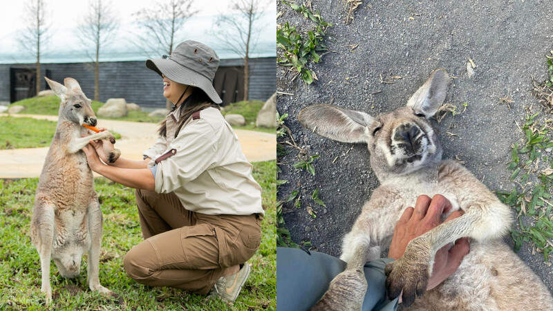 Perkhidmatan Kereta Sewa Persendirian Yilan dari Taipei: Taman Geoterma Qingshui & Ladang Ama Zhangmei