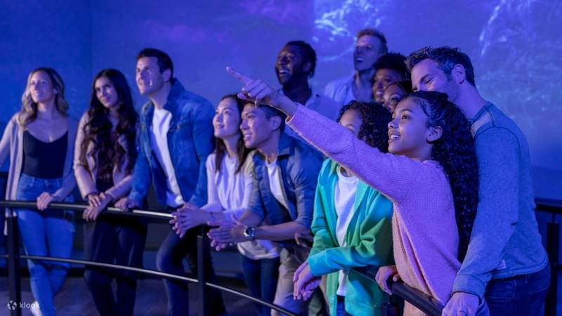 FlyOver アイスランド チケット