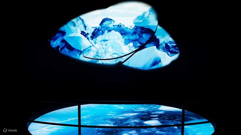 FlyOver アイスランド チケット