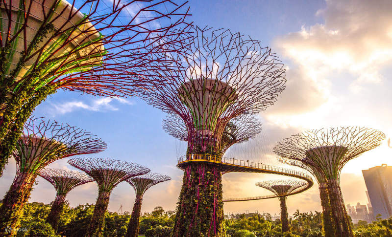 新加坡私人城市之旅，滨海湾花园，大自然