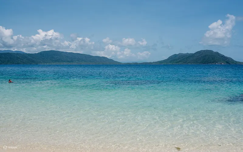 Fitzroy Island Day Tour