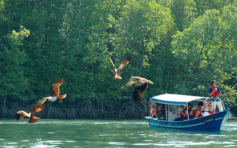 3T2N Vollpension-Paket im Gemalai Village in Langkawi