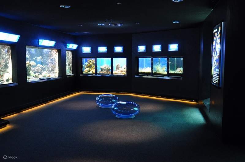 công viên hải dương kushimoto