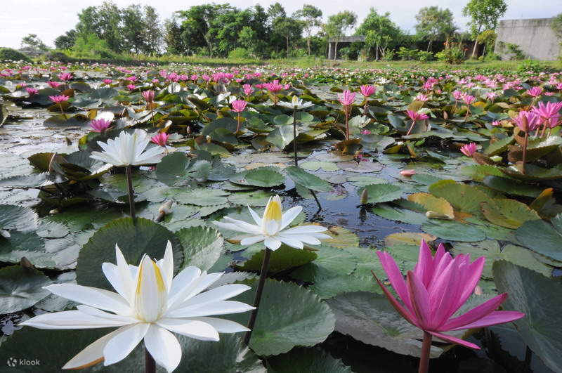 Круглогодичные живописные виды фермы