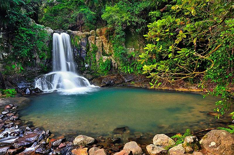 Waiau waterfall