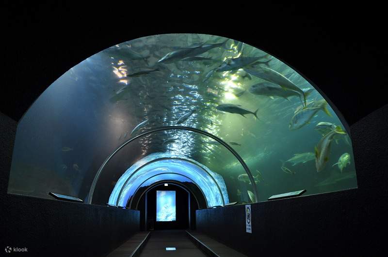 công viên hải dương kushimoto