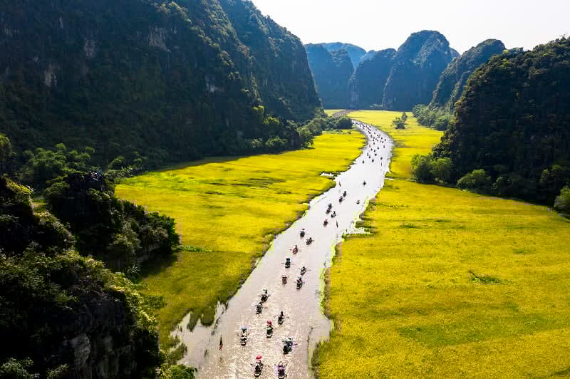 Sawah di Tam Coc, Ninh Binh
