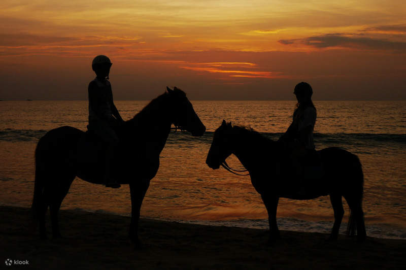 Experiencia de paseo a caballo en Phuket