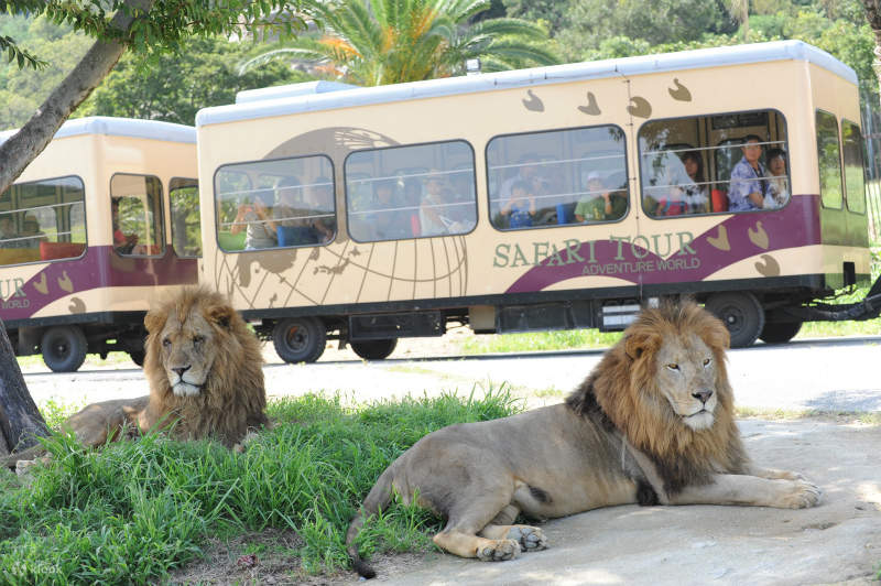 Wakayama Adventure World