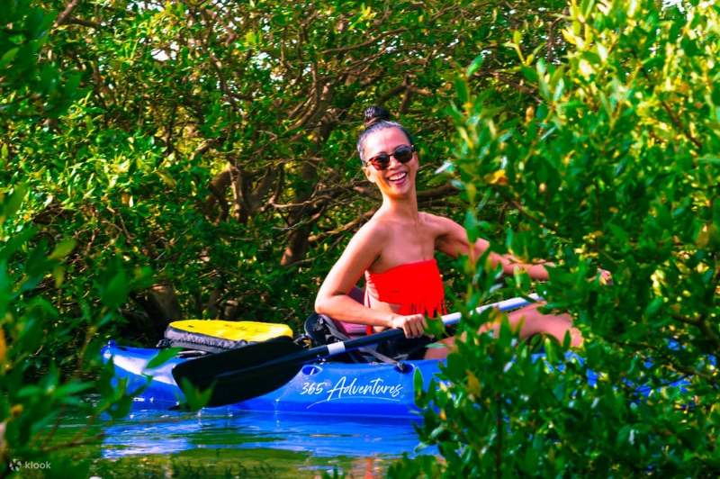 Join In Mangroves Kayaking Or Standup Paddling in Ash Shamal Klook