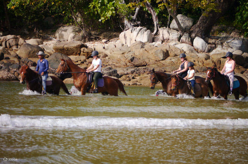 Experiencia de paseo a caballo en Phuket