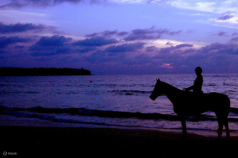 Experiencia de paseo a caballo en Phuket