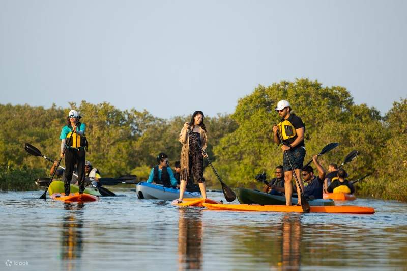 Join In Mangroves Kayaking Or Standup Paddling in Ash Shamal Klook
