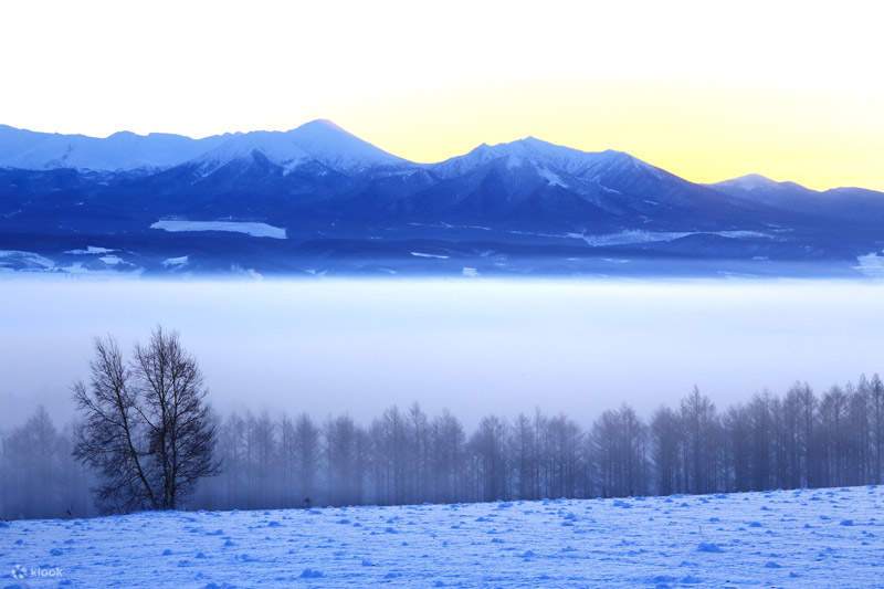 Hokkaido - Fields & Nature Background Wallpapers on Desktop Nexus (Image  1693625)