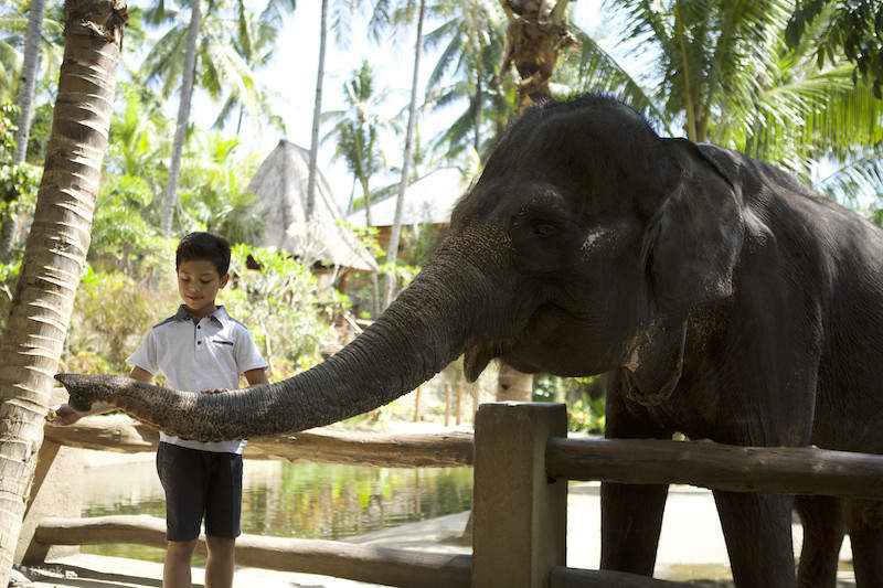 Tiket Lombok Wildlife Park