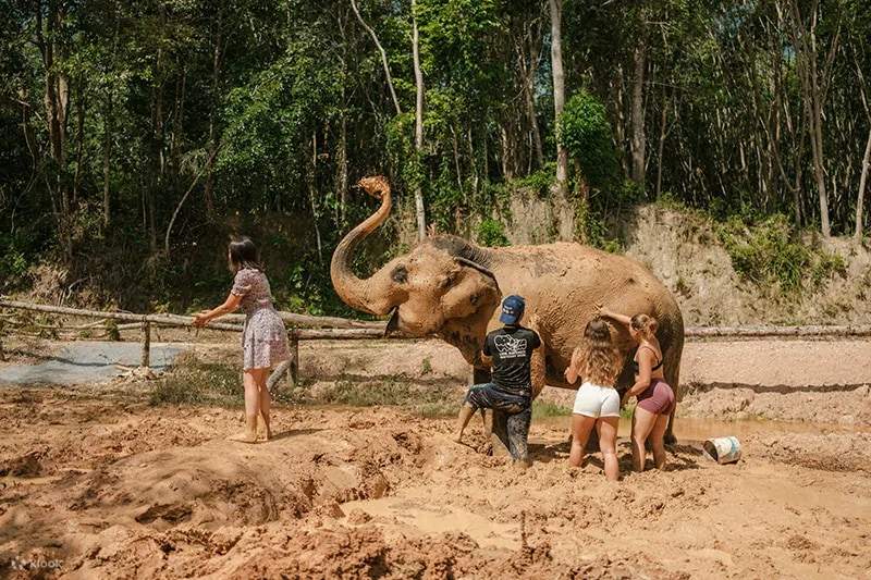 Krabi : Love Elephant Sanctuary