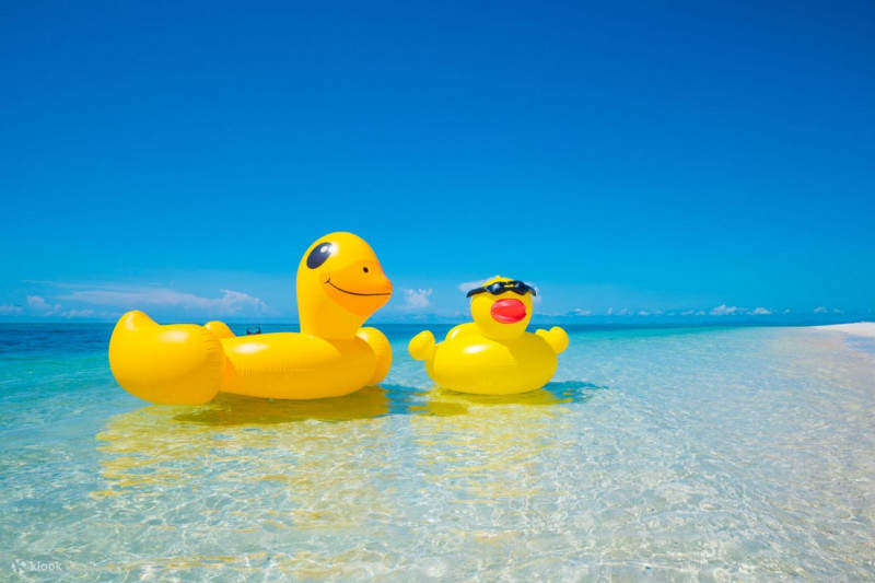 Мантанани: снорклинг или дайвинг и круиз по реке Кава-Кава