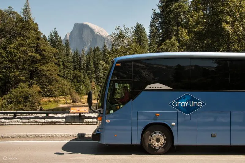 Gray line bus