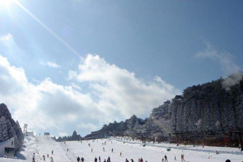 Nara Park & Mt. Rokko Snow Park Day Trip (From Osaka) - Klook