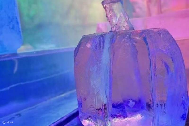 Biglietto per l'IceBar di Colonia con bevande