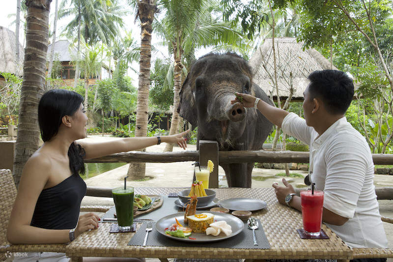 Lombok Wildlife Park Ticket