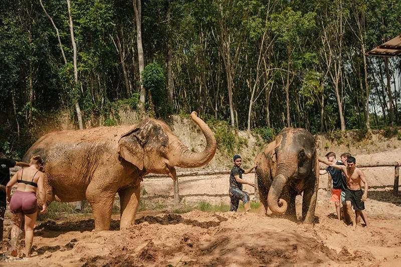 Krabi : Love Elephant Sanctuary