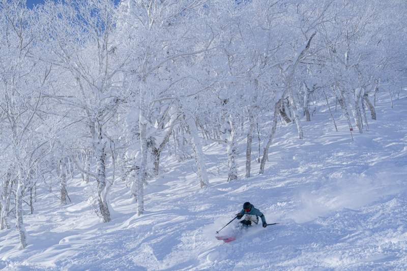 Hokkaido Powder Belt