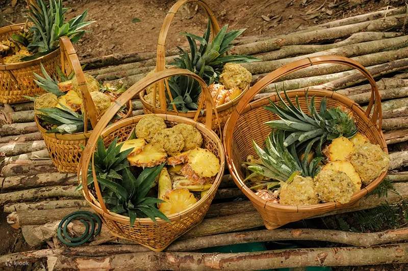 Krabi : Love Elephant Sanctuary