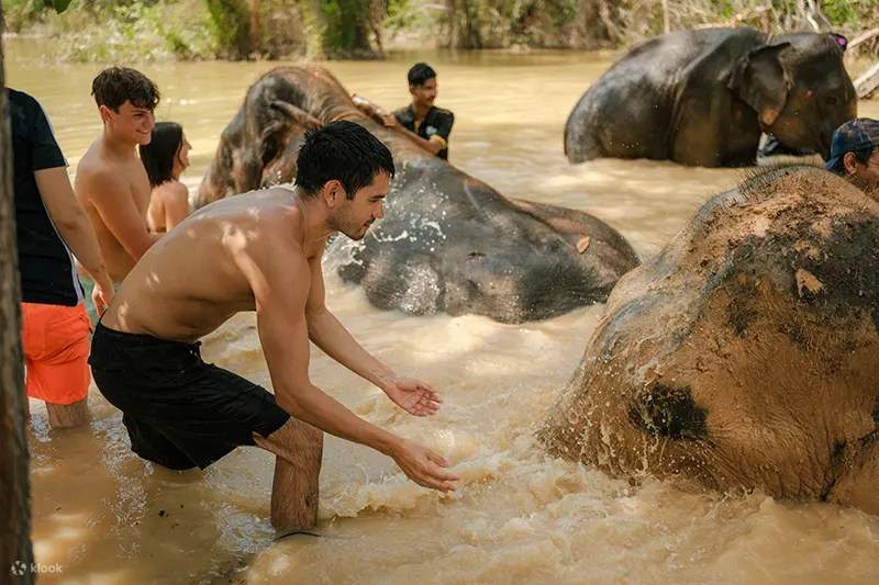 Krabi : Love Elephant Sanctuary