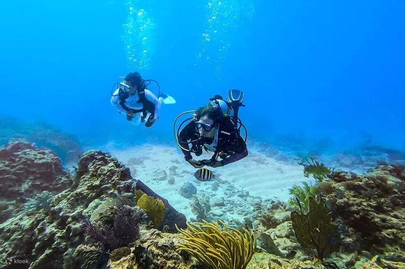 Adventure awaits: New divers explore the stunning coral reefs of Key Largo, marveling at the diverse marine ecosystem during their open water certification