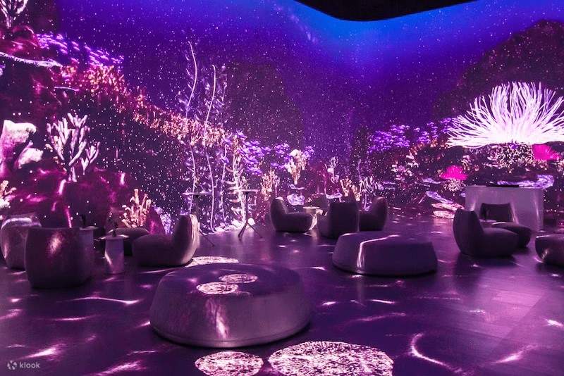 拉斯维加斯 Illuminarium 门票（直接入场） Klook客路
