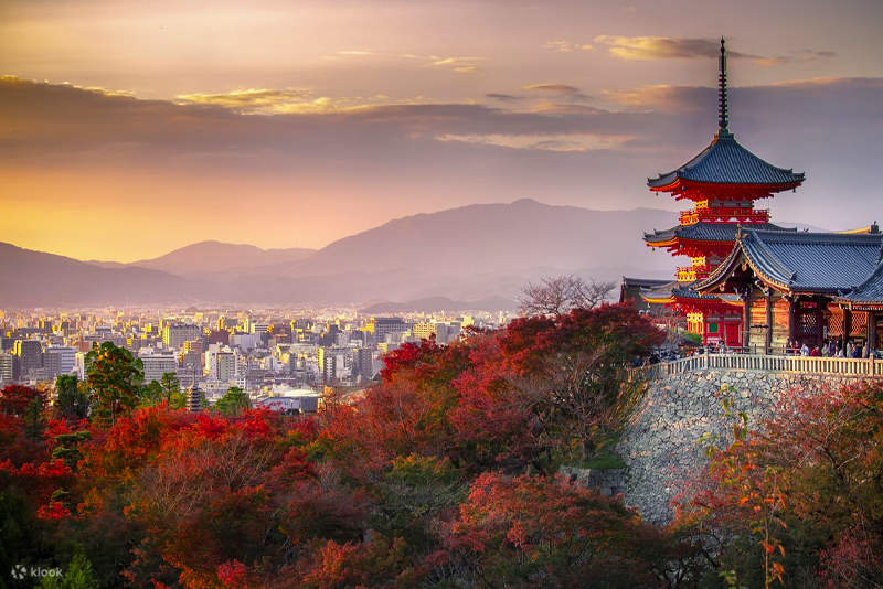 京都発 嵐山・金閣寺・清水寺日帰り旅行 | 大阪・京都発 | Klook