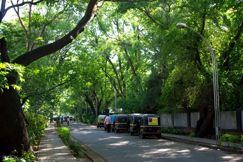 浦那夜晚步行之旅,koregaon公園