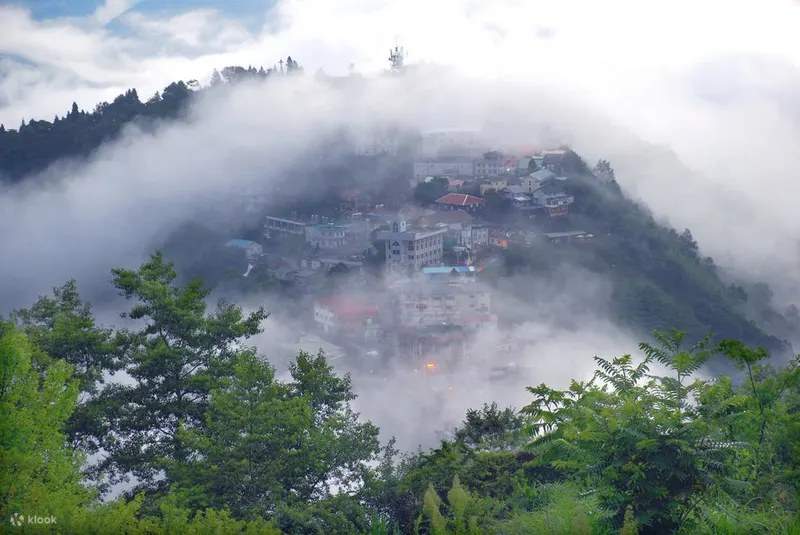 Tour di un giorno in auto privata alle attrazioni di Taoyuan: alberi giganti di Lalla Mountain, bacino idrico di Shihmen e via vecchia di Daxi