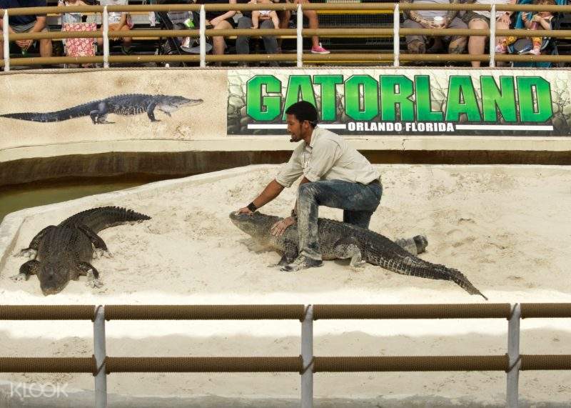 Gatorlan Fall 2022