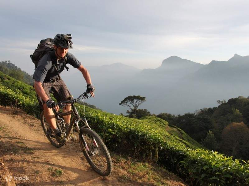 munnar, kerala