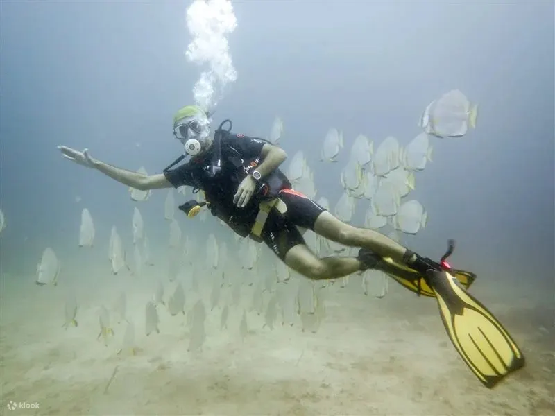 在 PADI 5 星级潜水度假村体验民都洛岛水肺潜水