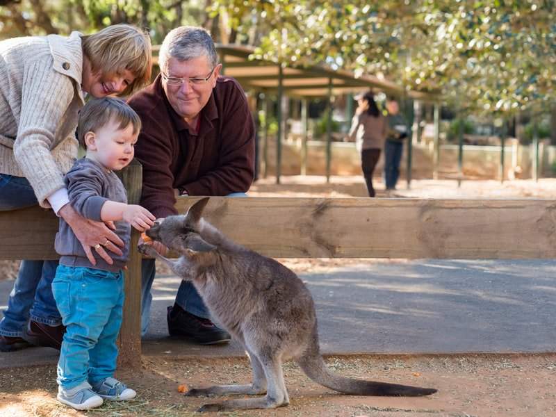 Featherdale Wildlife Park Ticket in Sydney