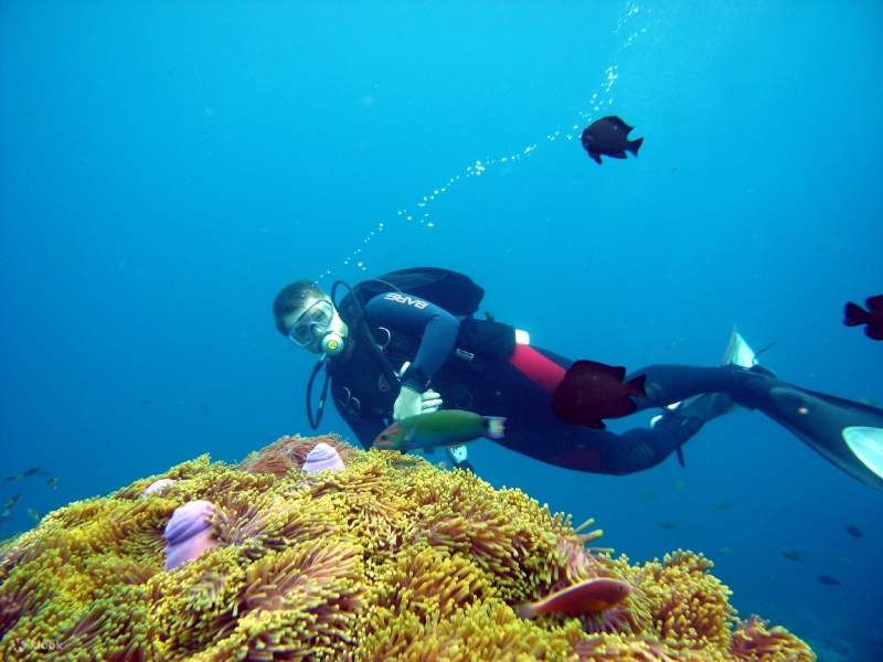 PADI Open Water Diver [eLearning]