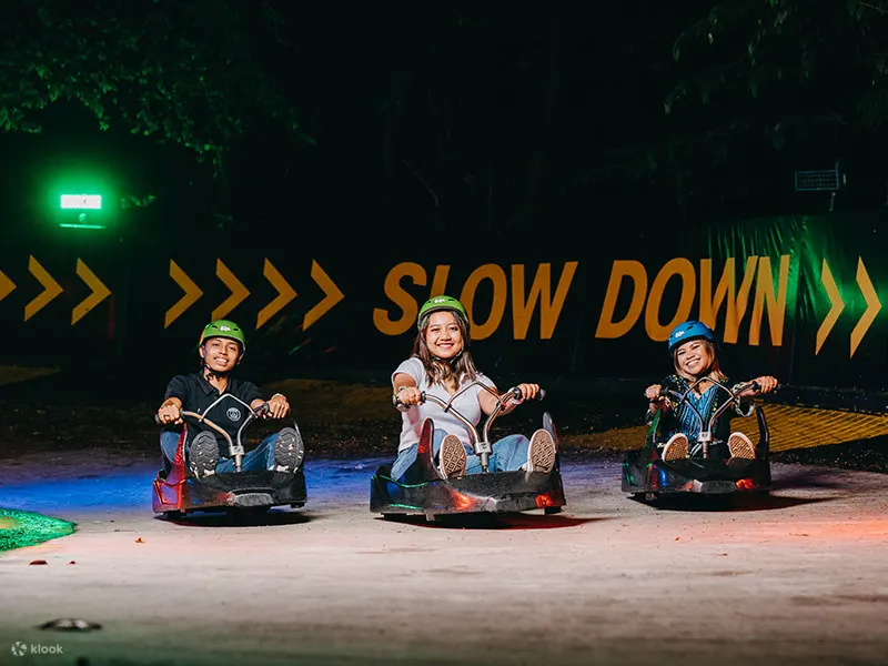 tourist riding the luge at night