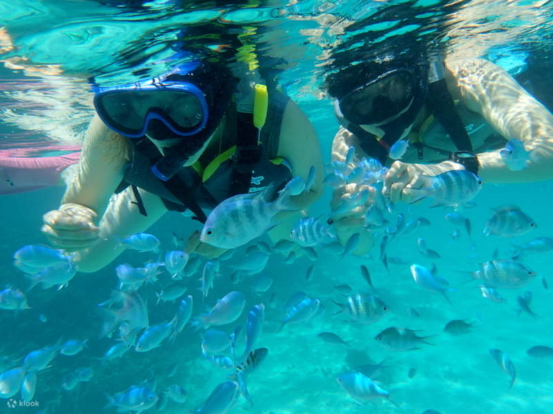 two people snorkeling